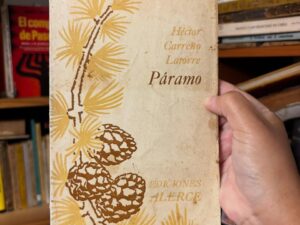 Páramo