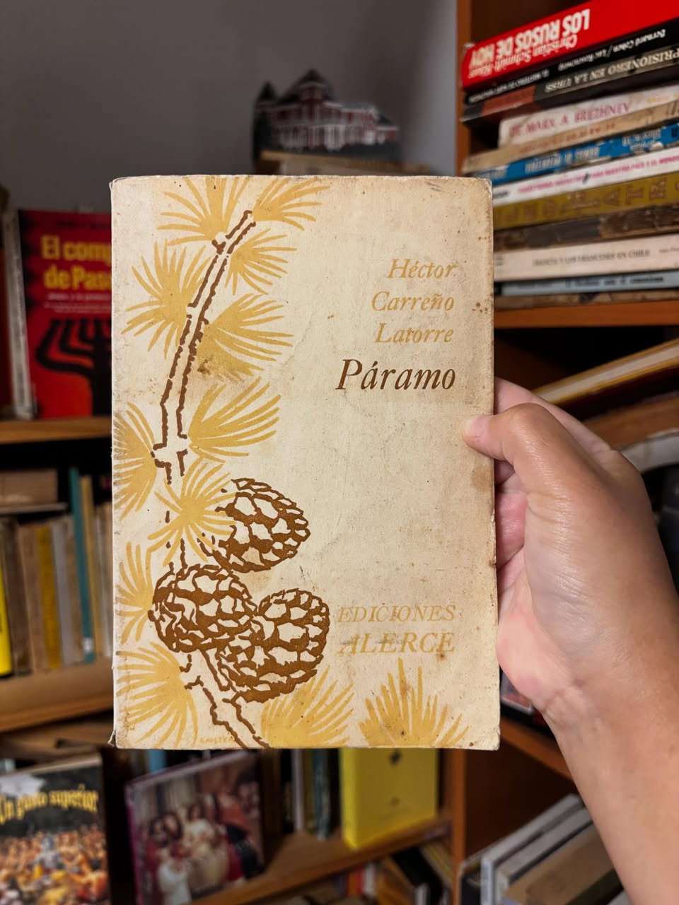 Páramo