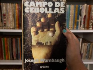 Campo de cebollas