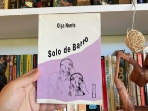 Solo de Barro