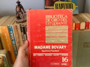 Madame Bovary