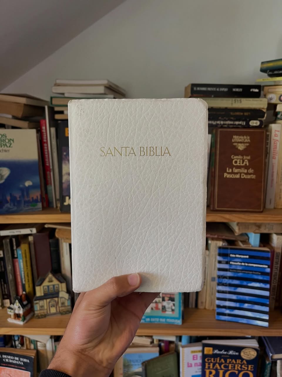 Santa Biblia. Versión Reina Valera 1960