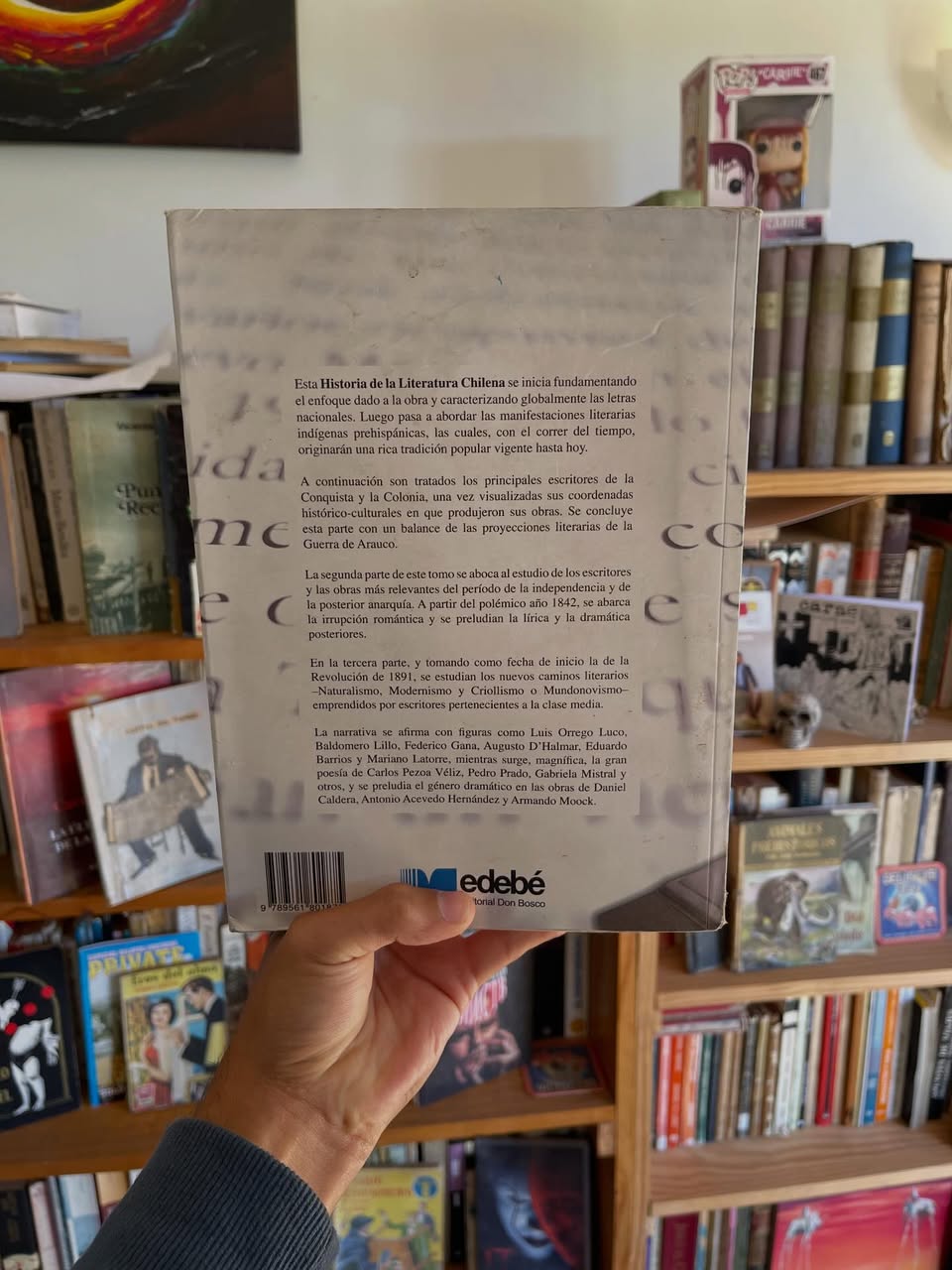 Historia de la literatura chilena, tomo I y II - Imagen 3