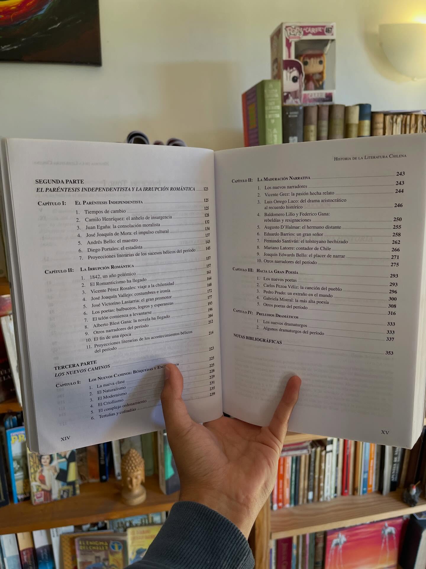 Historia de la literatura chilena, tomo I y II - Imagen 6