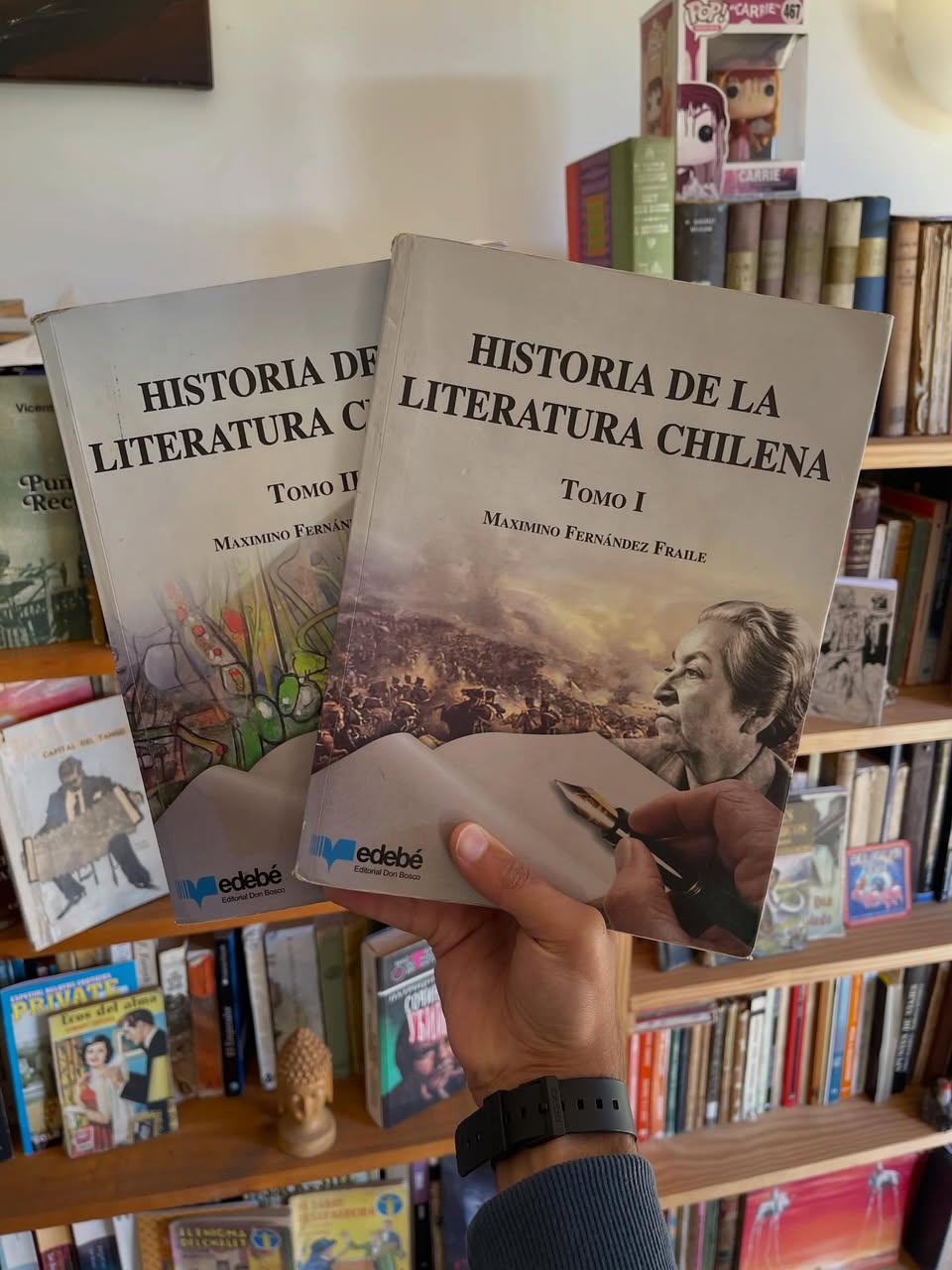 Historia de la literatura chilena, tomo I y II