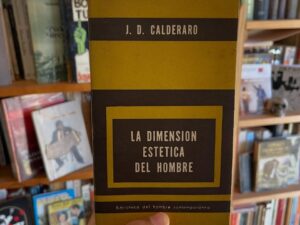 La dimensión estética del hombre