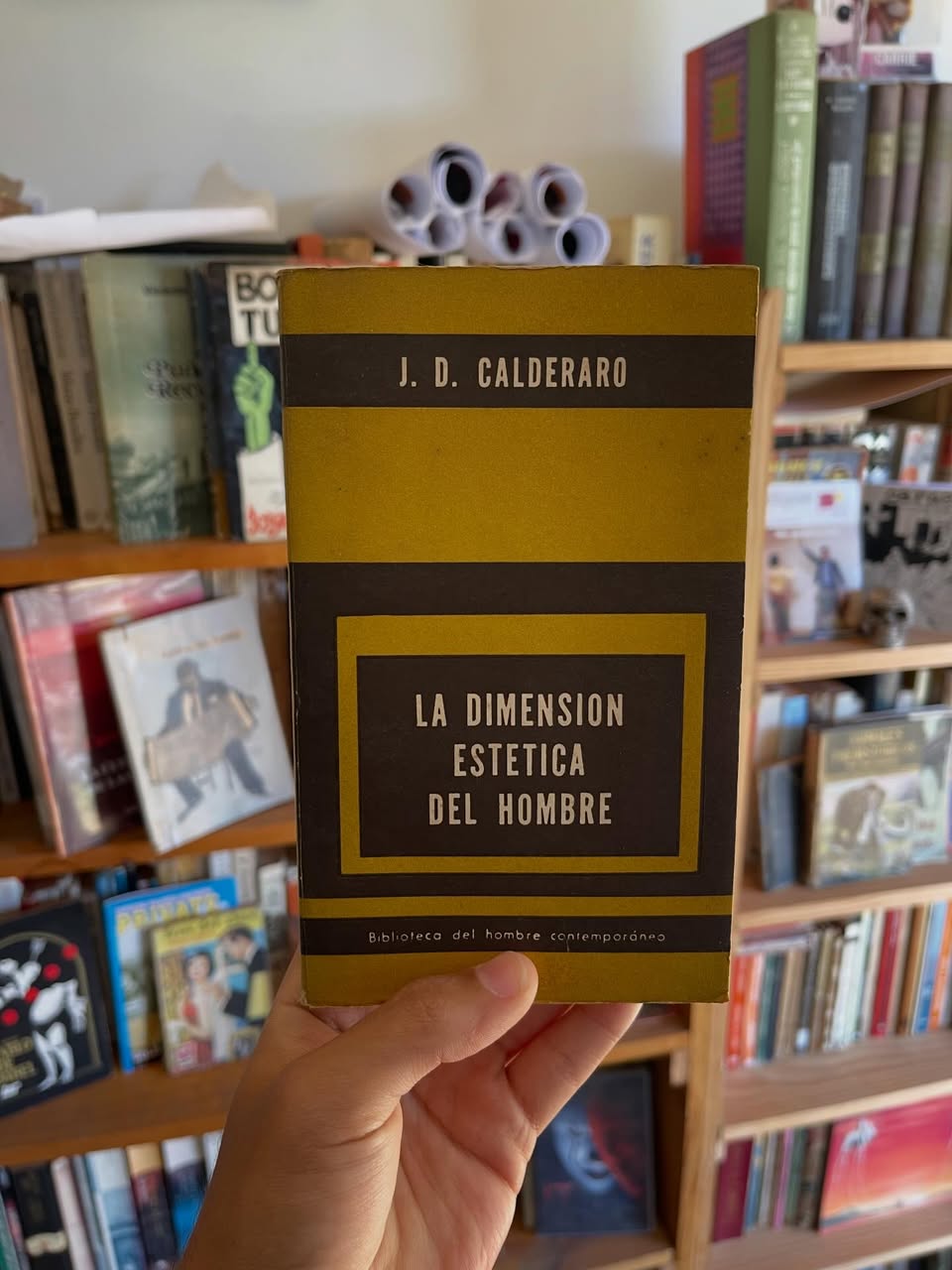 La dimensión estética del hombre
