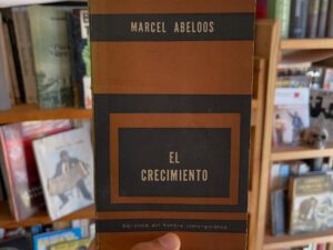 El crecimiento