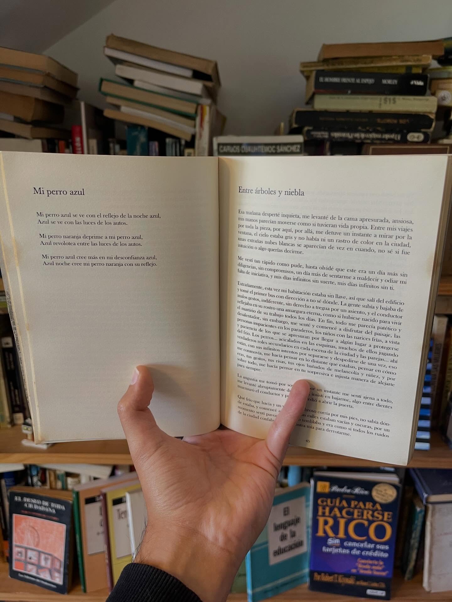 Plano inclinado. Poética en un sentido amplio - Imagen 8