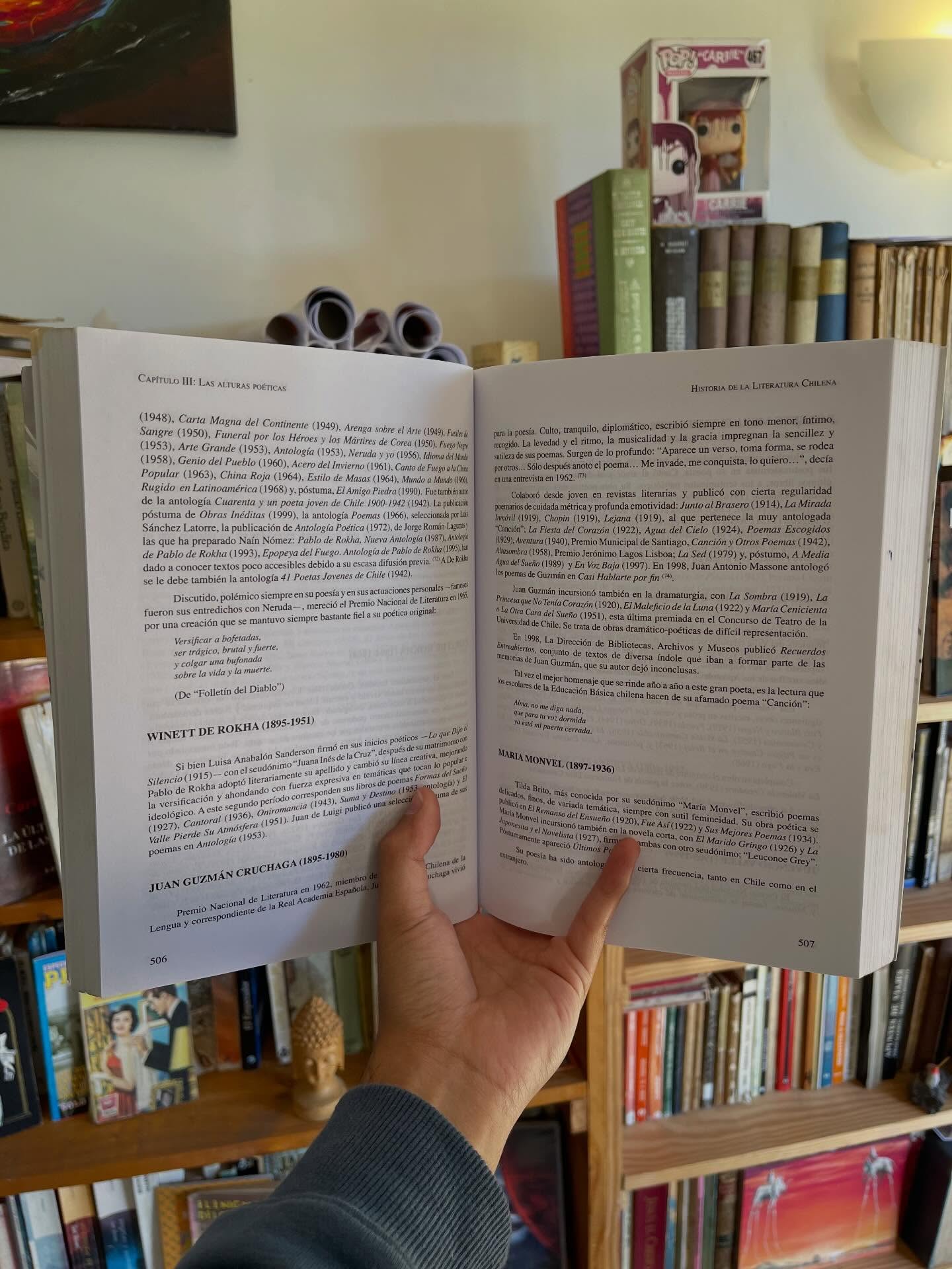 Historia de la literatura chilena, tomo I y II - Imagen 14