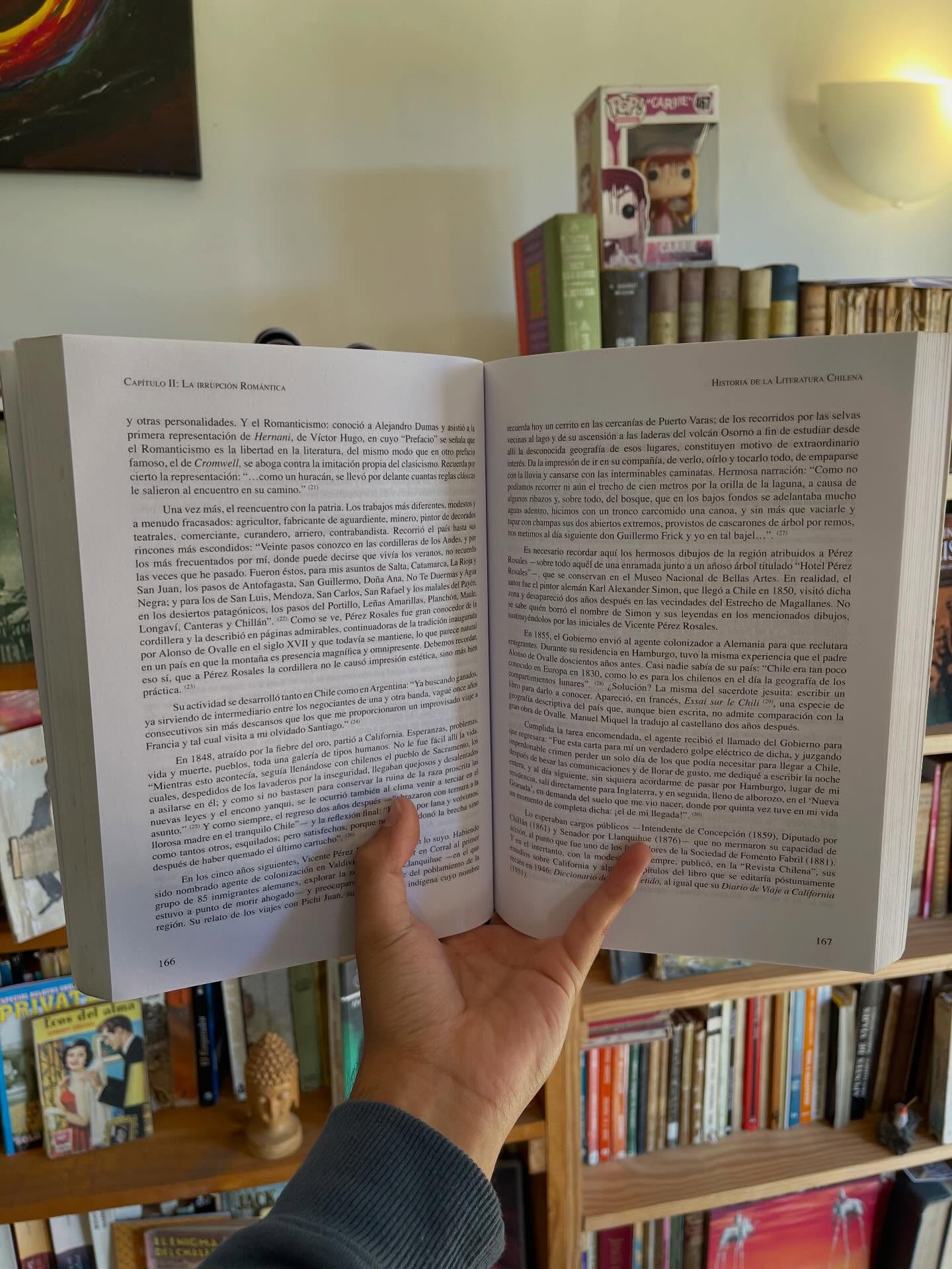 Historia de la literatura chilena, tomo I y II - Imagen 7