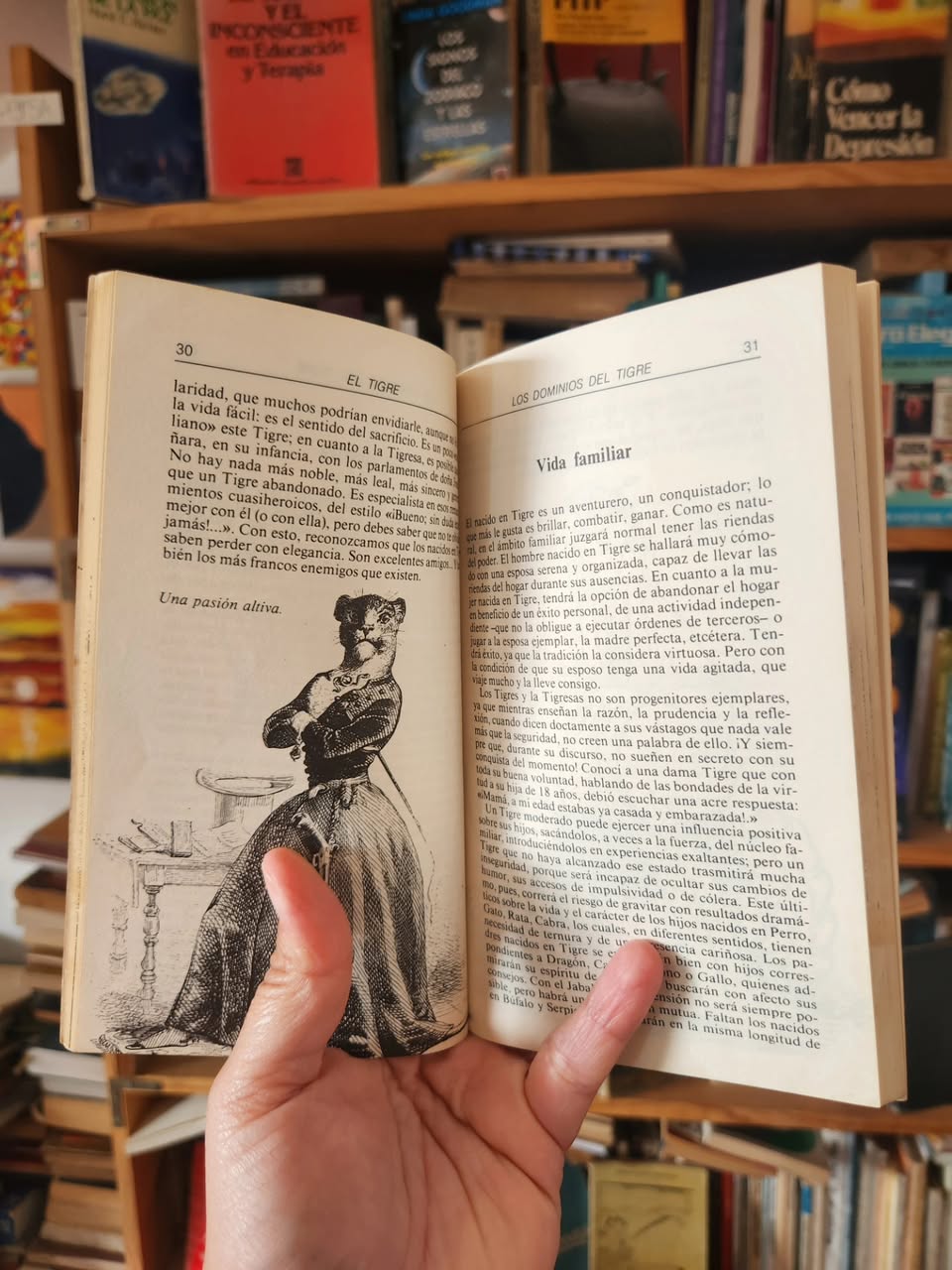 Tigre - Imagen 4