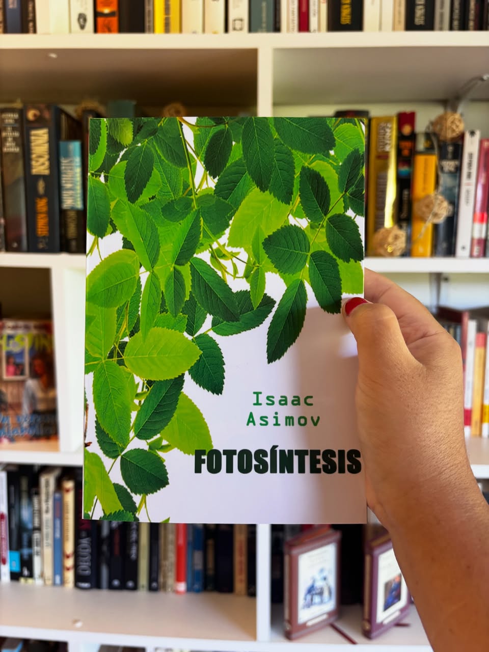 Fotosíntesis