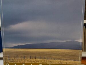 Patagonia