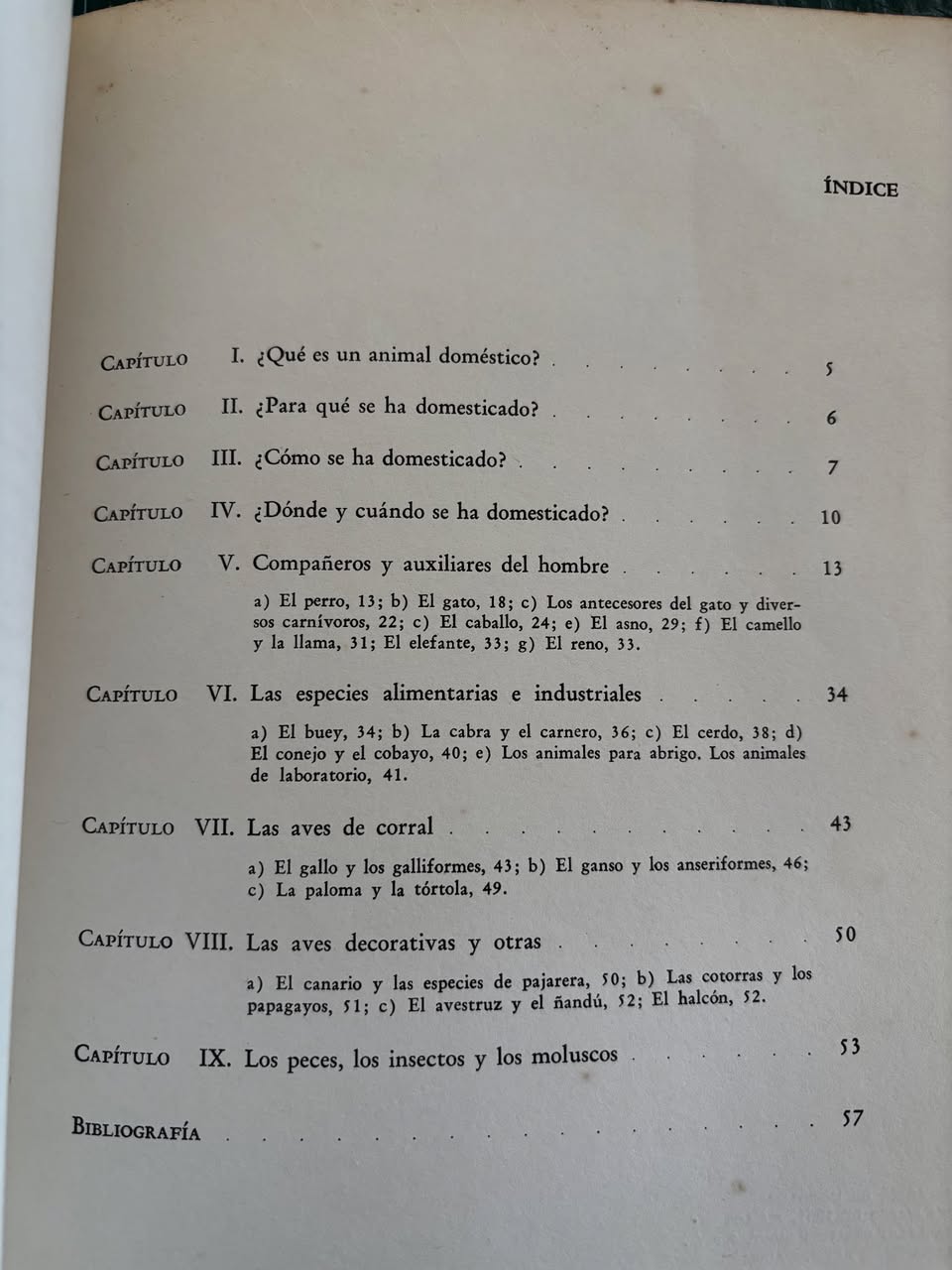 El origen de los animales domésticos - Imagen 5