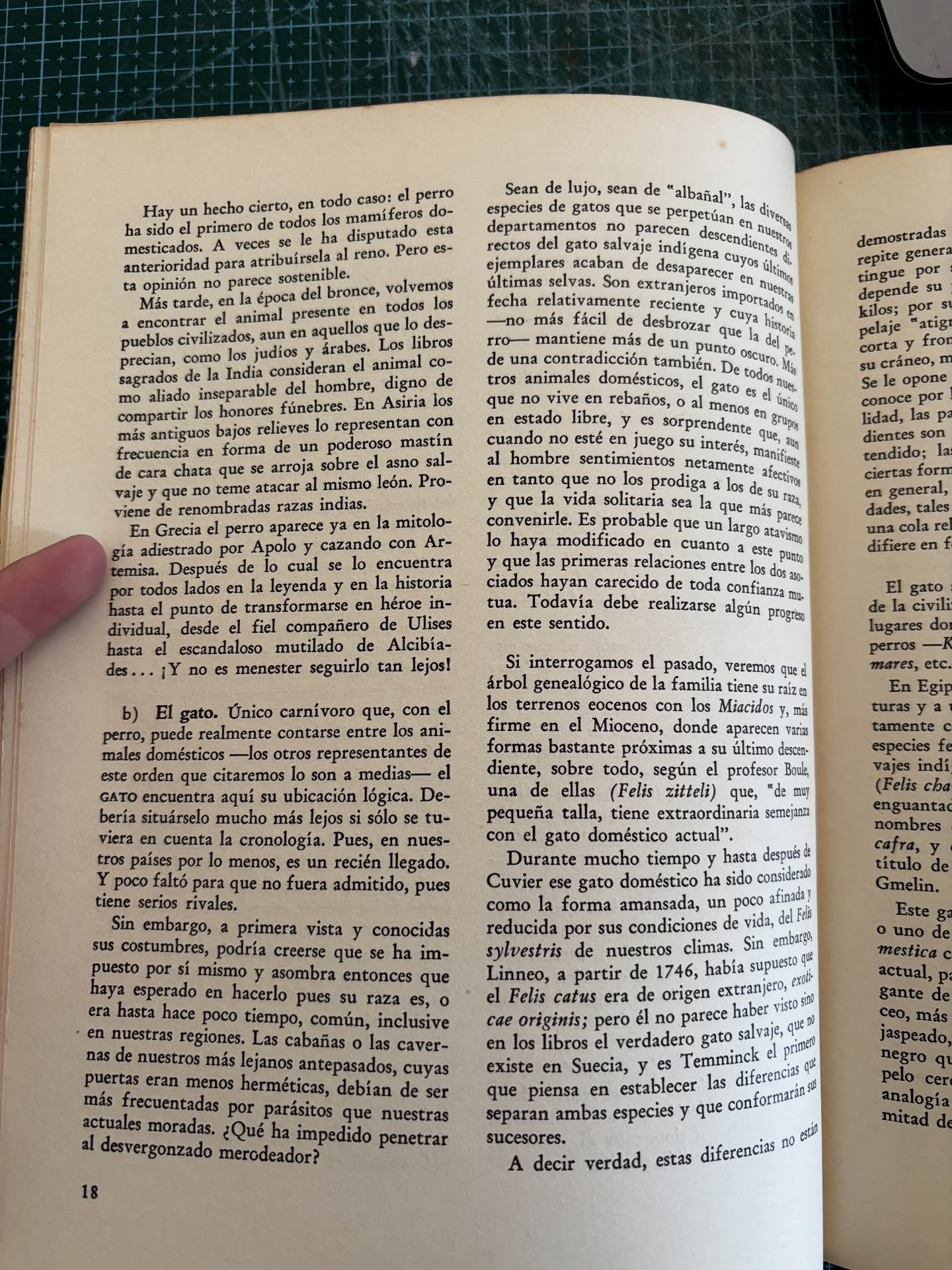 El origen de los animales domésticos - Imagen 6