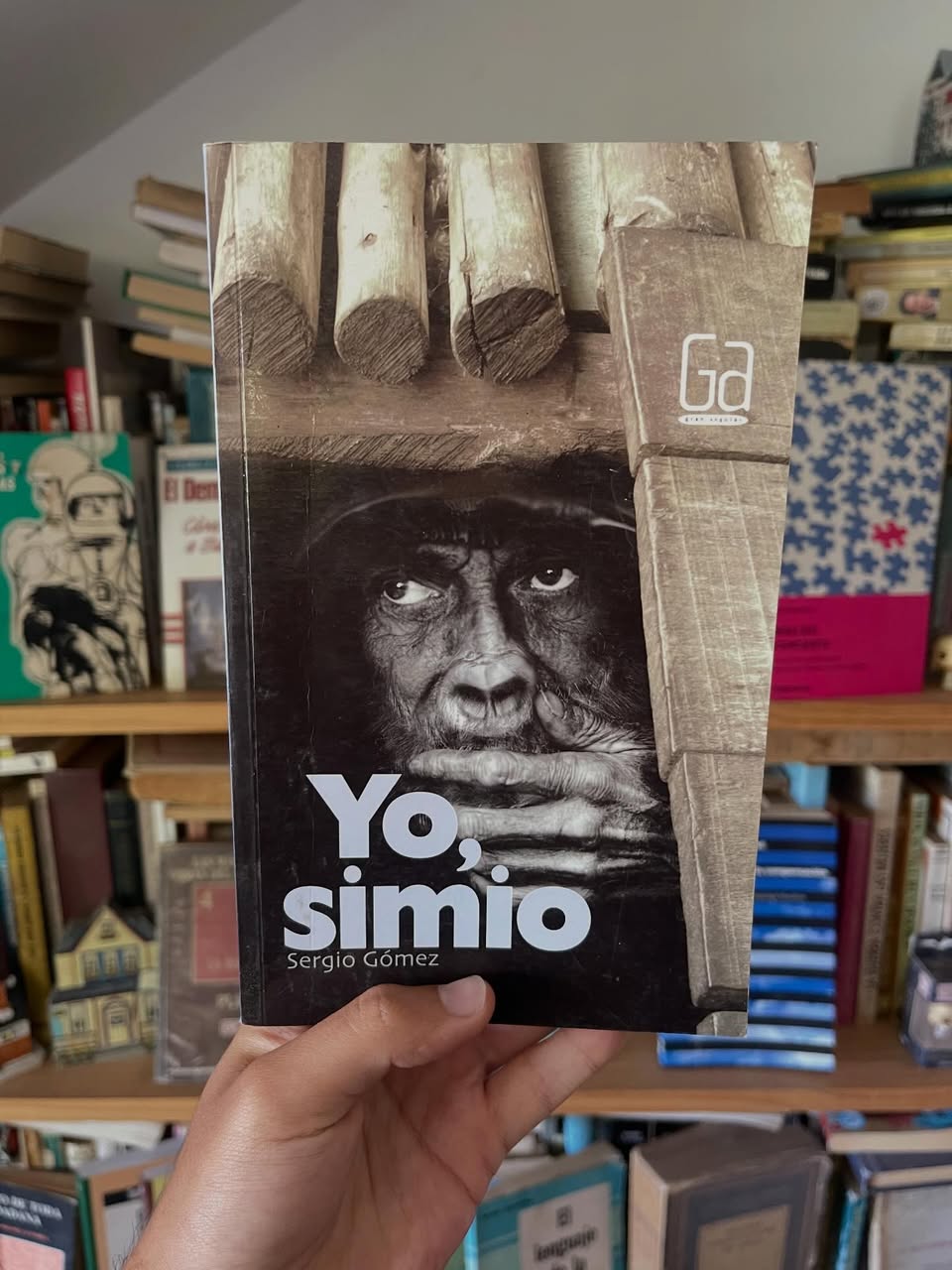 Yo, simio