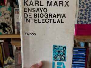 Karl Marx, Ensayo de biografía intelectual