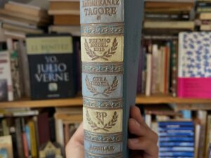 Rabindranaz Tagore, Obras escogidas