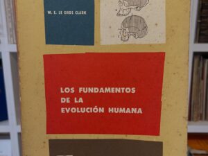 Los fundamentos de la evolución humana
