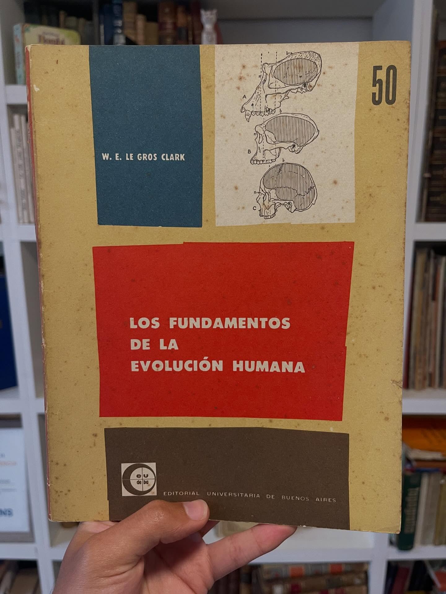 Los fundamentos de la evolución humana