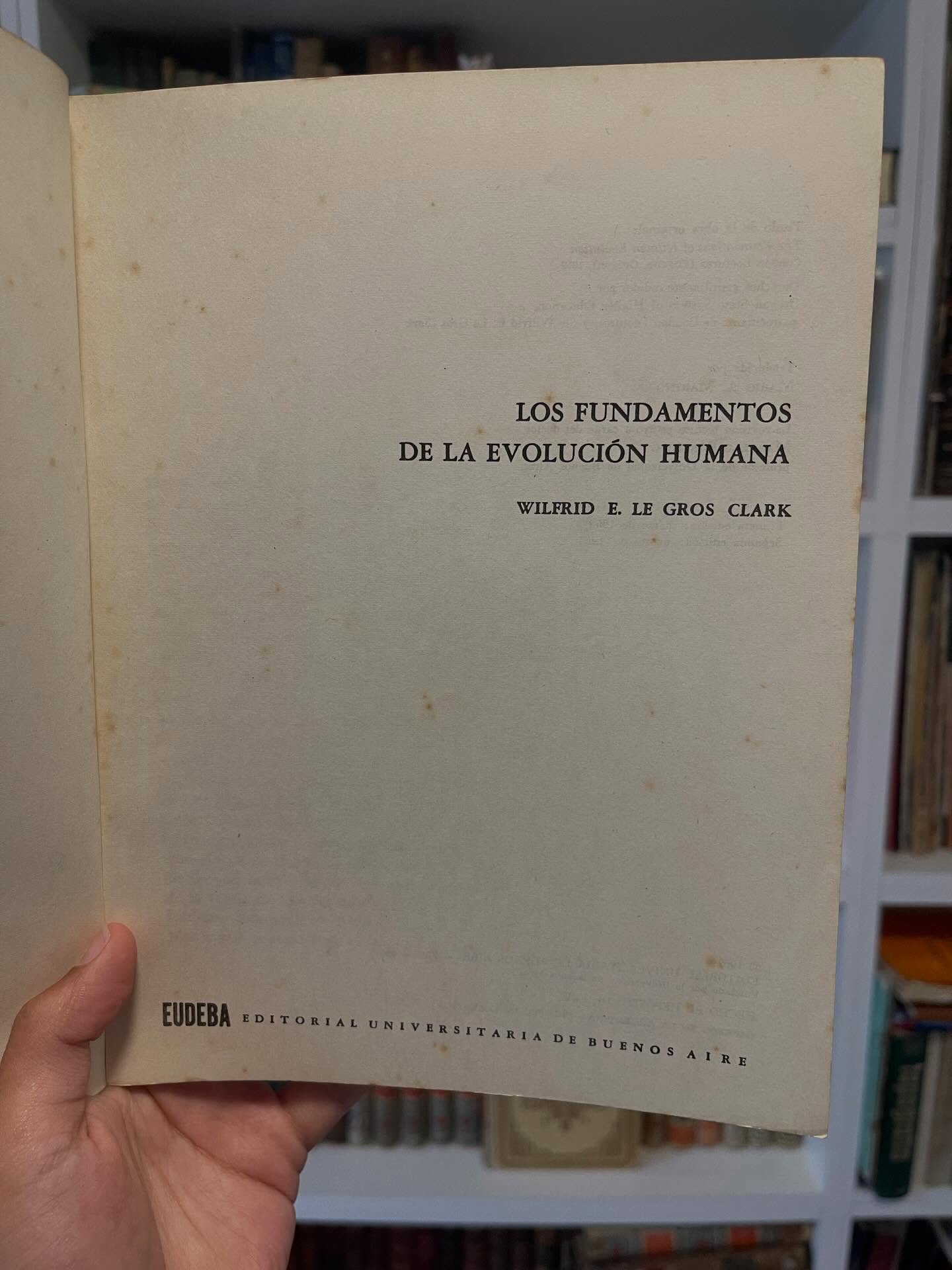 Los fundamentos de la evolución humana - Imagen 4
