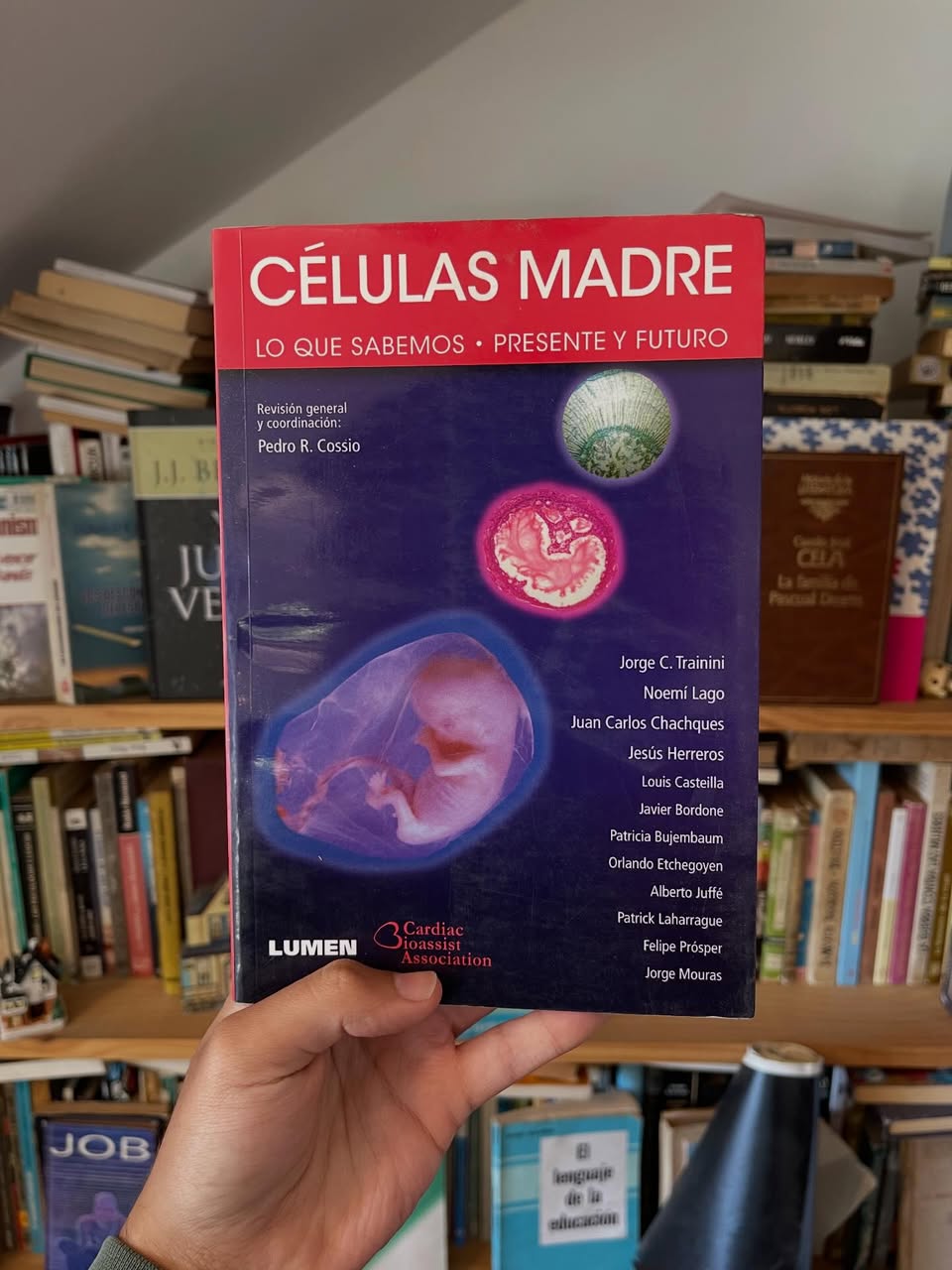 Células madre. Lo que sabemos. Presente y futuro - Libros Frannie