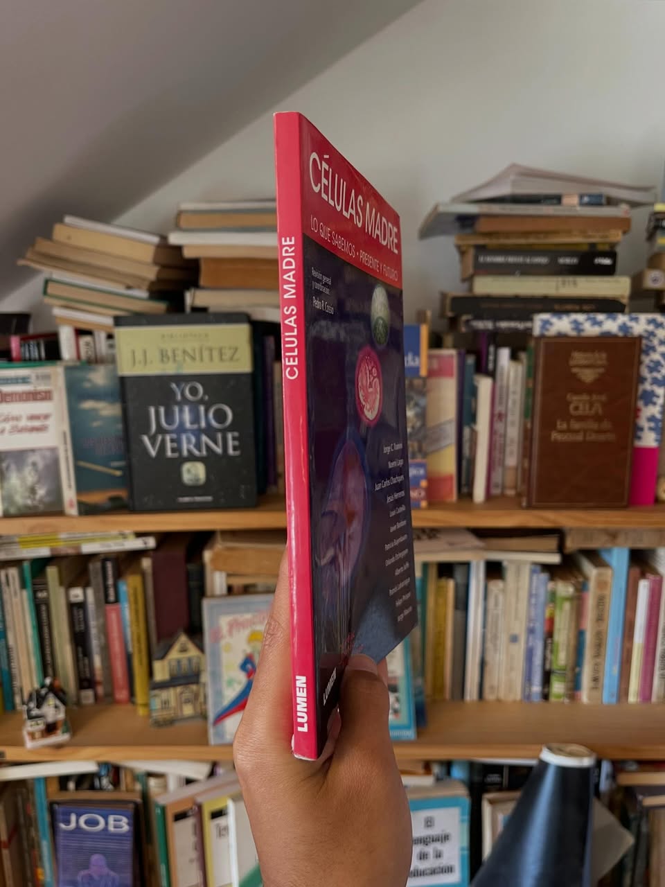 Células madre. Lo que sabemos. Presente y futuro - Libros Frannie