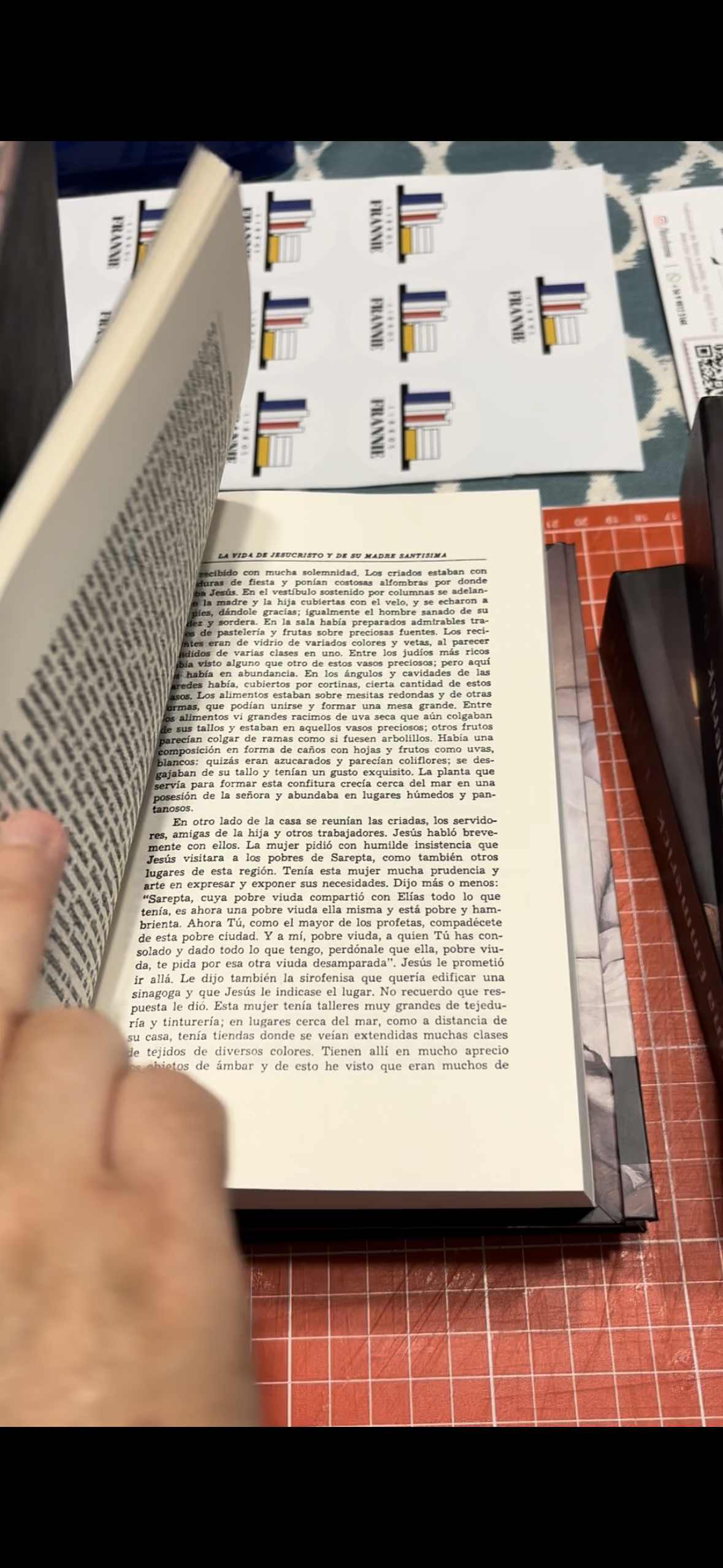 Visiones y revelaciones completas de Ana Catalina Emmerick. - Libros Frannie