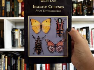 Insectos Chilenos – atlas entomológico - Libros Frannie
