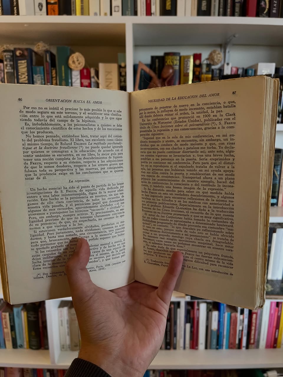 La educación del amor - Libros Frannie