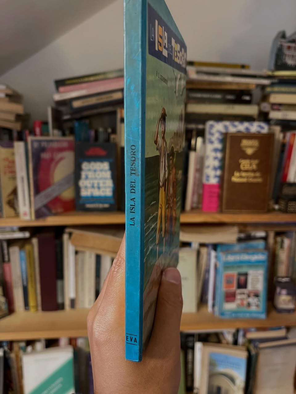 La isla del tesoro - Libros Frannie