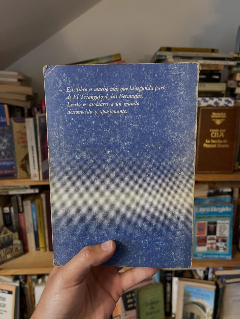 Sin rastro. Los últimos descubrimientos acerca del Triángulo de las Bermudas - Libros Frannie