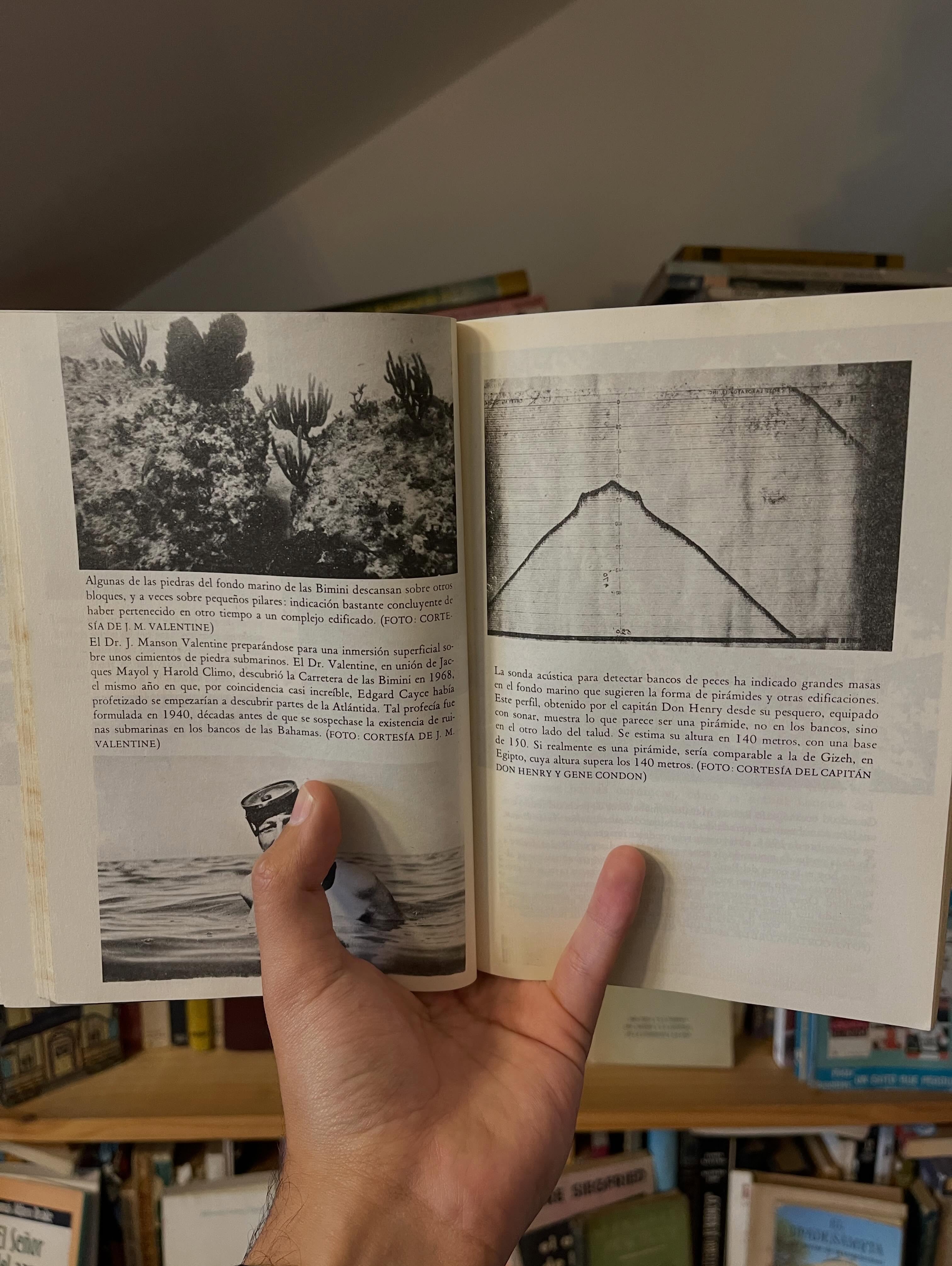 Sin rastro. Los últimos descubrimientos acerca del Triángulo de las Bermudas - Libros Frannie