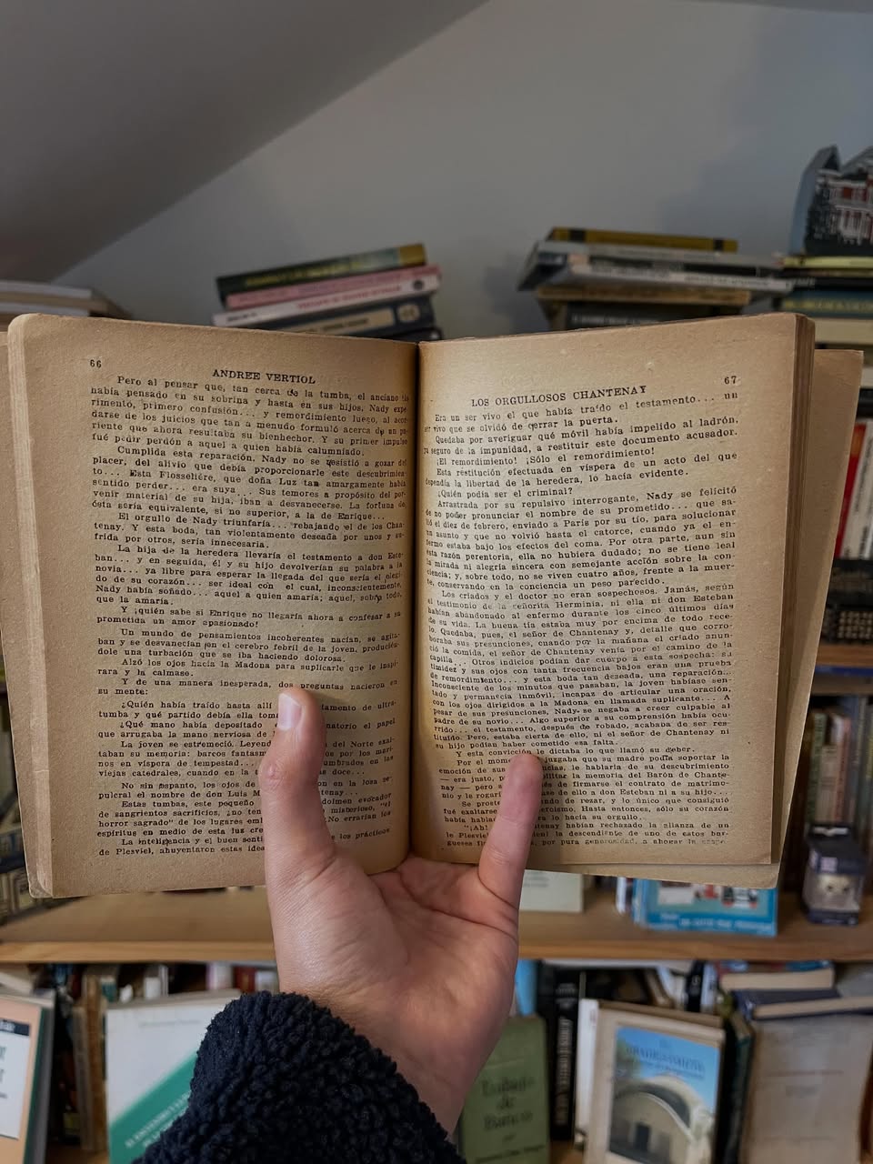 Los orgullosos Chantenay - Libros Frannie