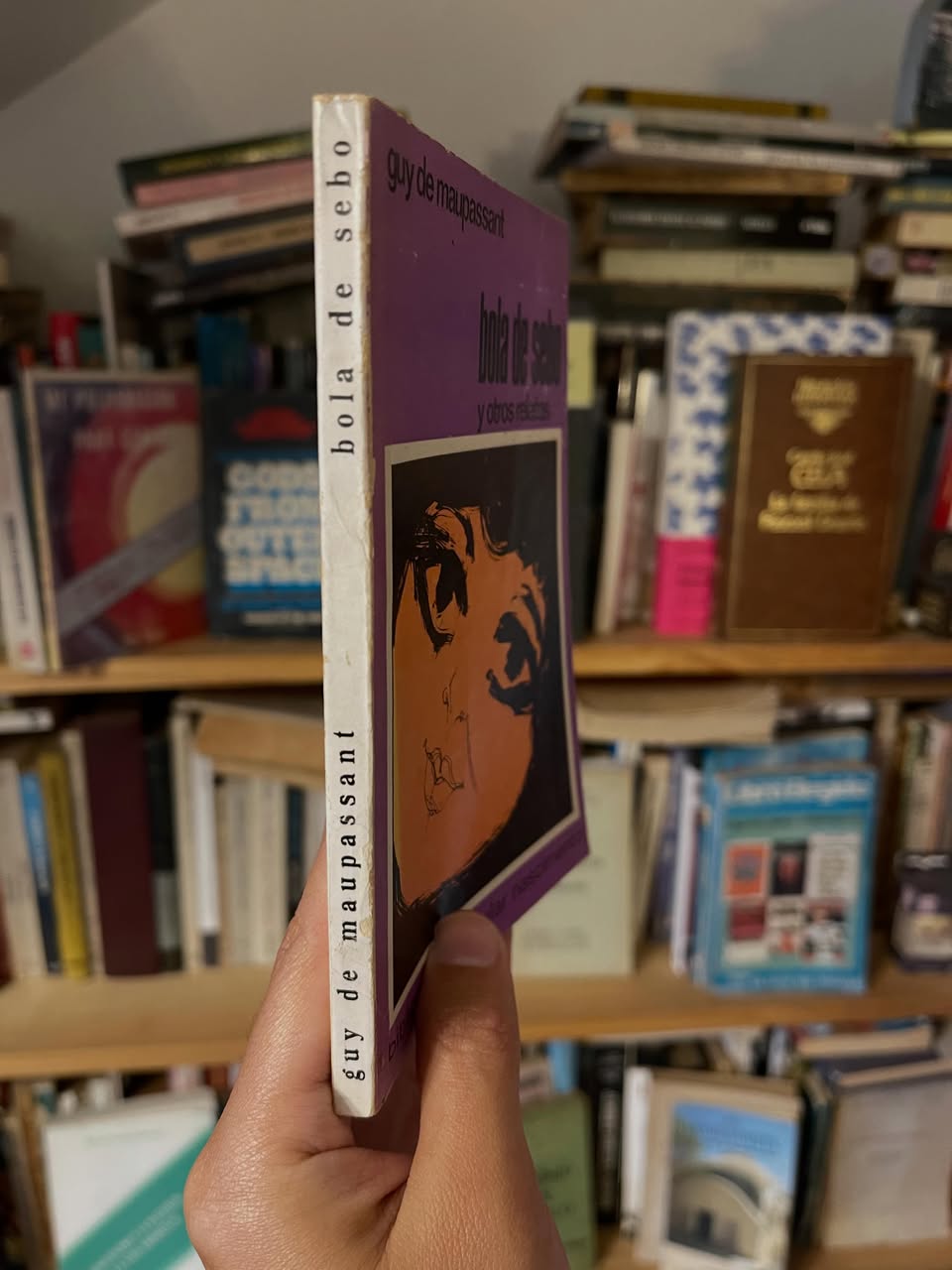 Bola de sebo y otros relatos - Libros Frannie