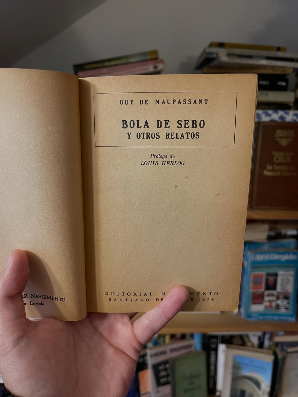 Bola de sebo y otros relatos - Libros Frannie