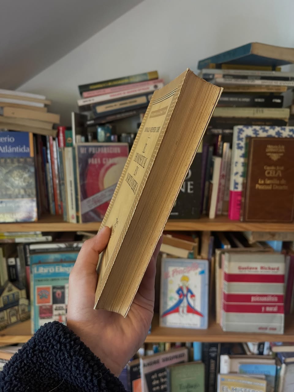 El homosexual en Norteamérica - Libros Frannie