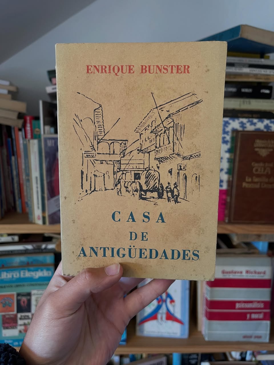 Casa de antigüedades - Libros Frannie