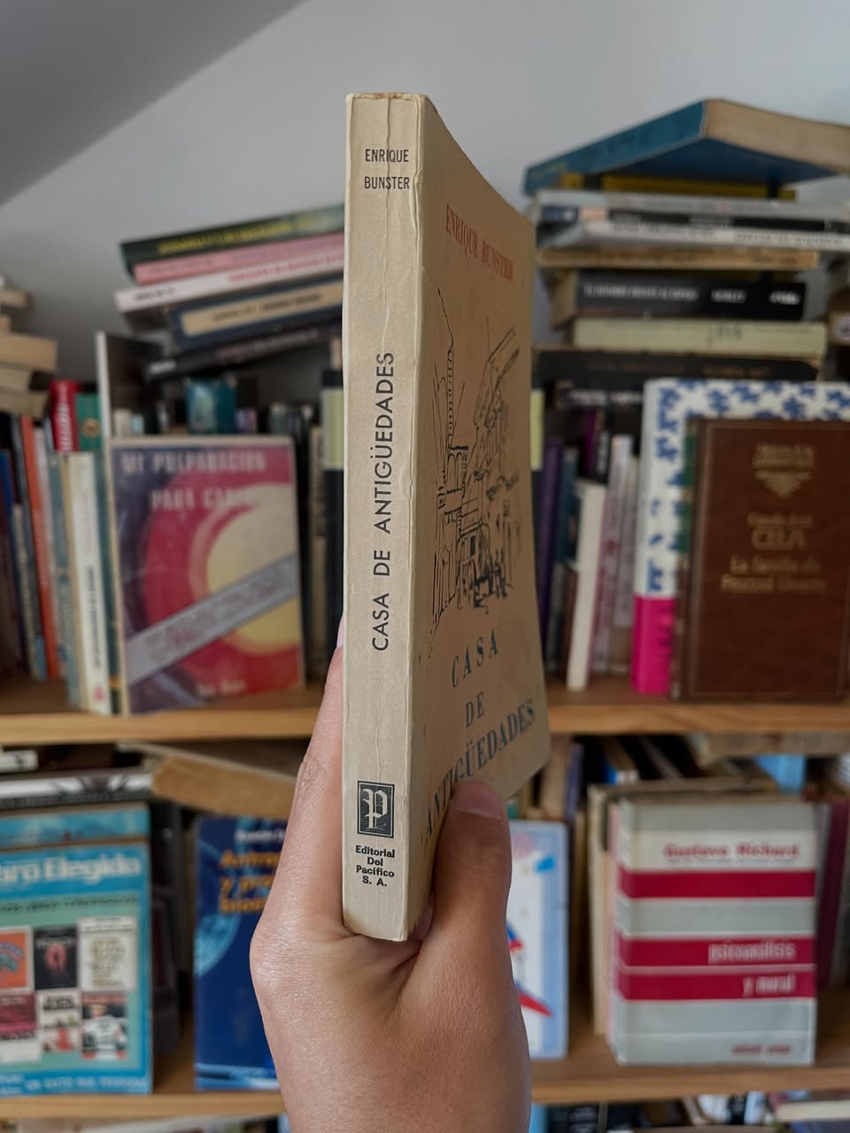 Casa de antigüedades - Libros Frannie