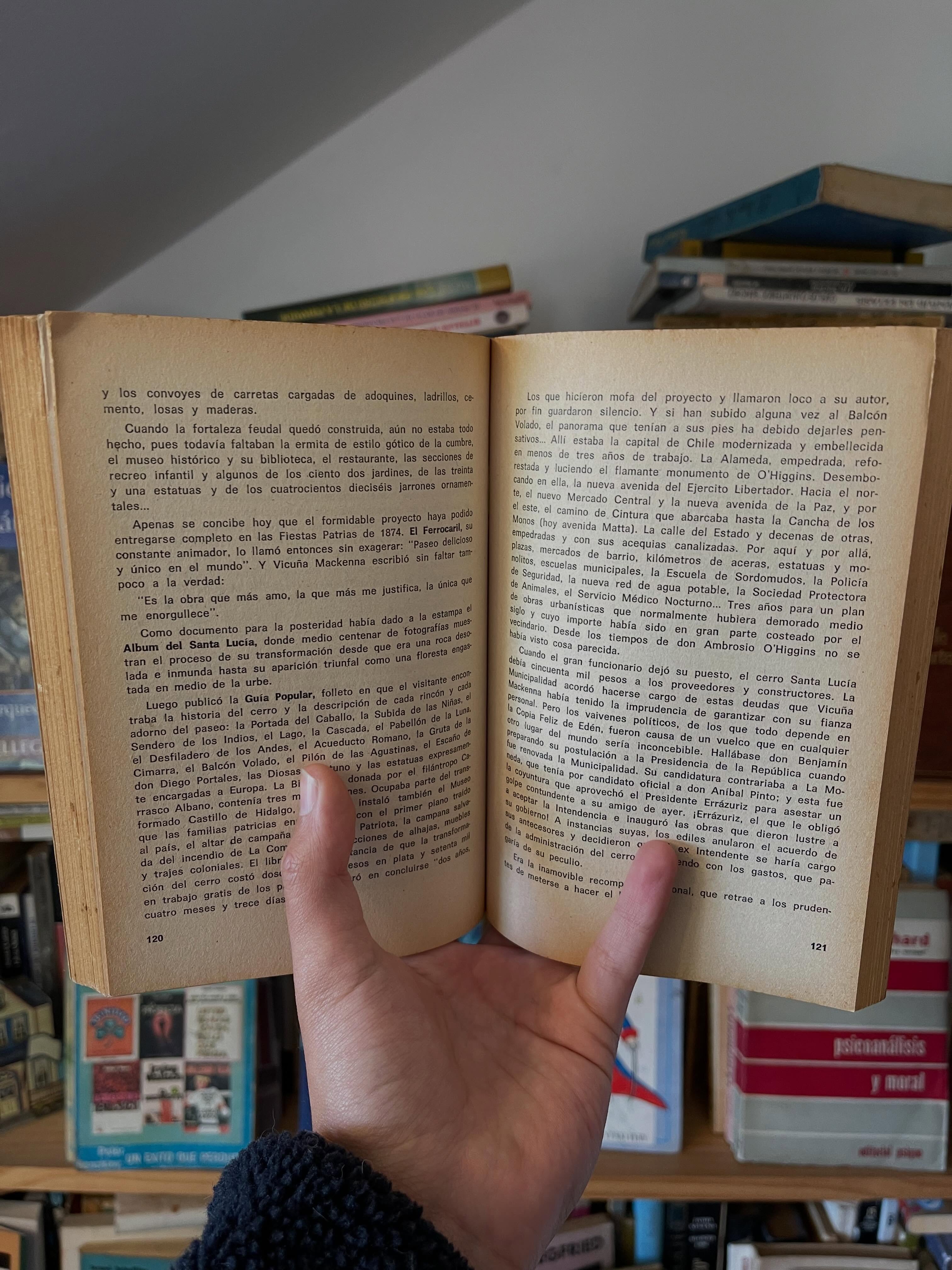Casa de antigüedades - Libros Frannie