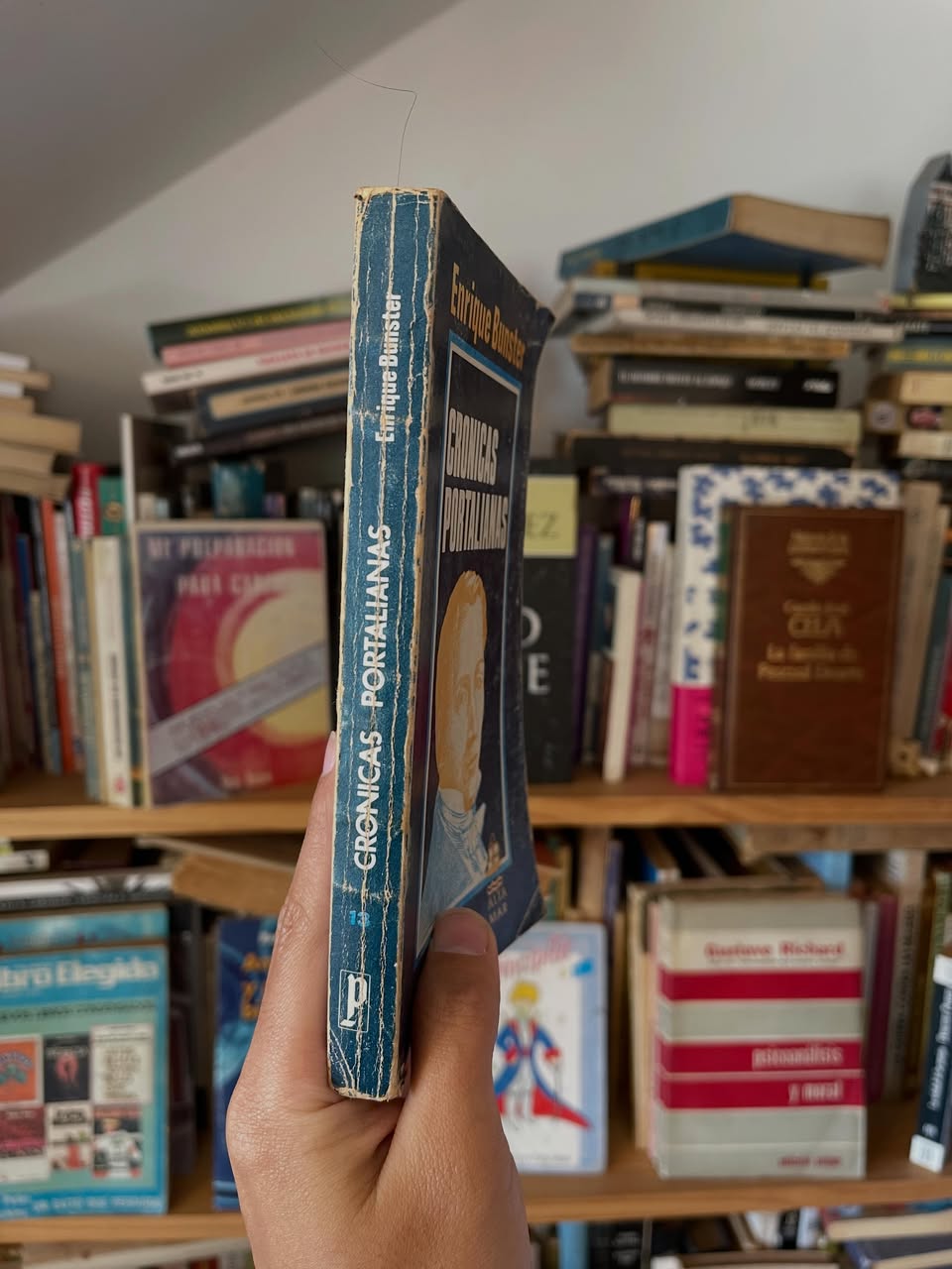 Crónicas portalianas - Libros Frannie