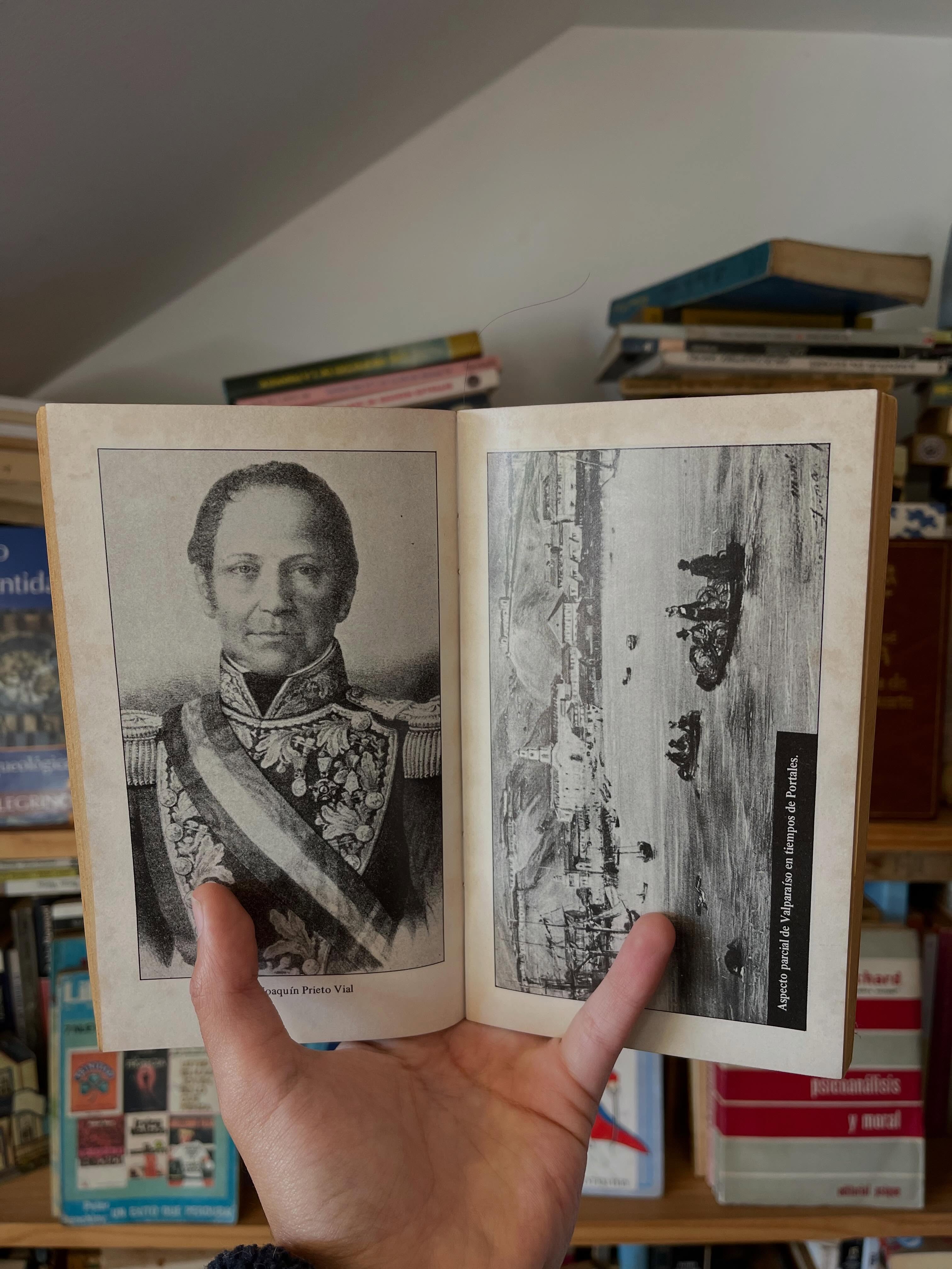 Crónicas portalianas - Libros Frannie