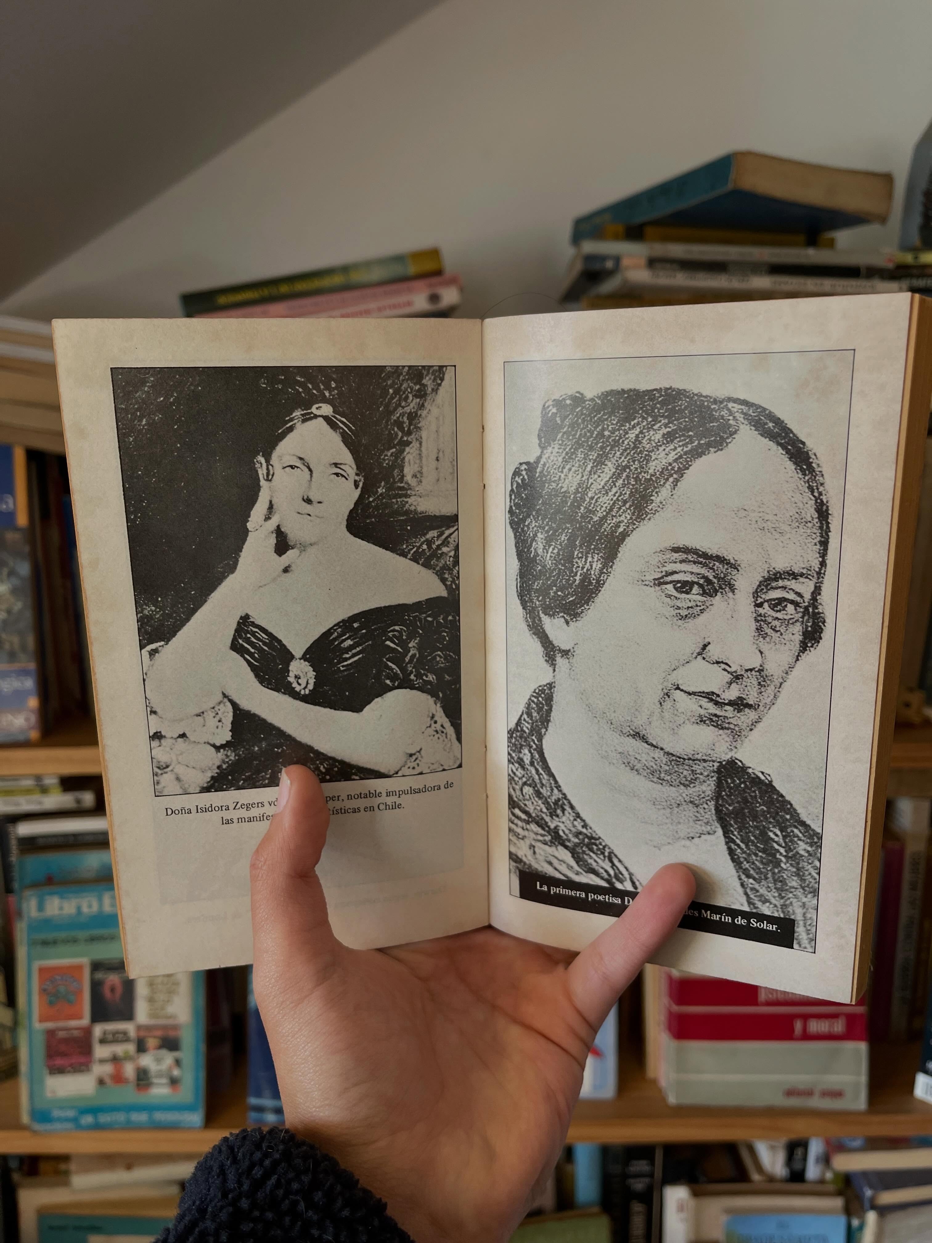 Crónicas portalianas - Libros Frannie