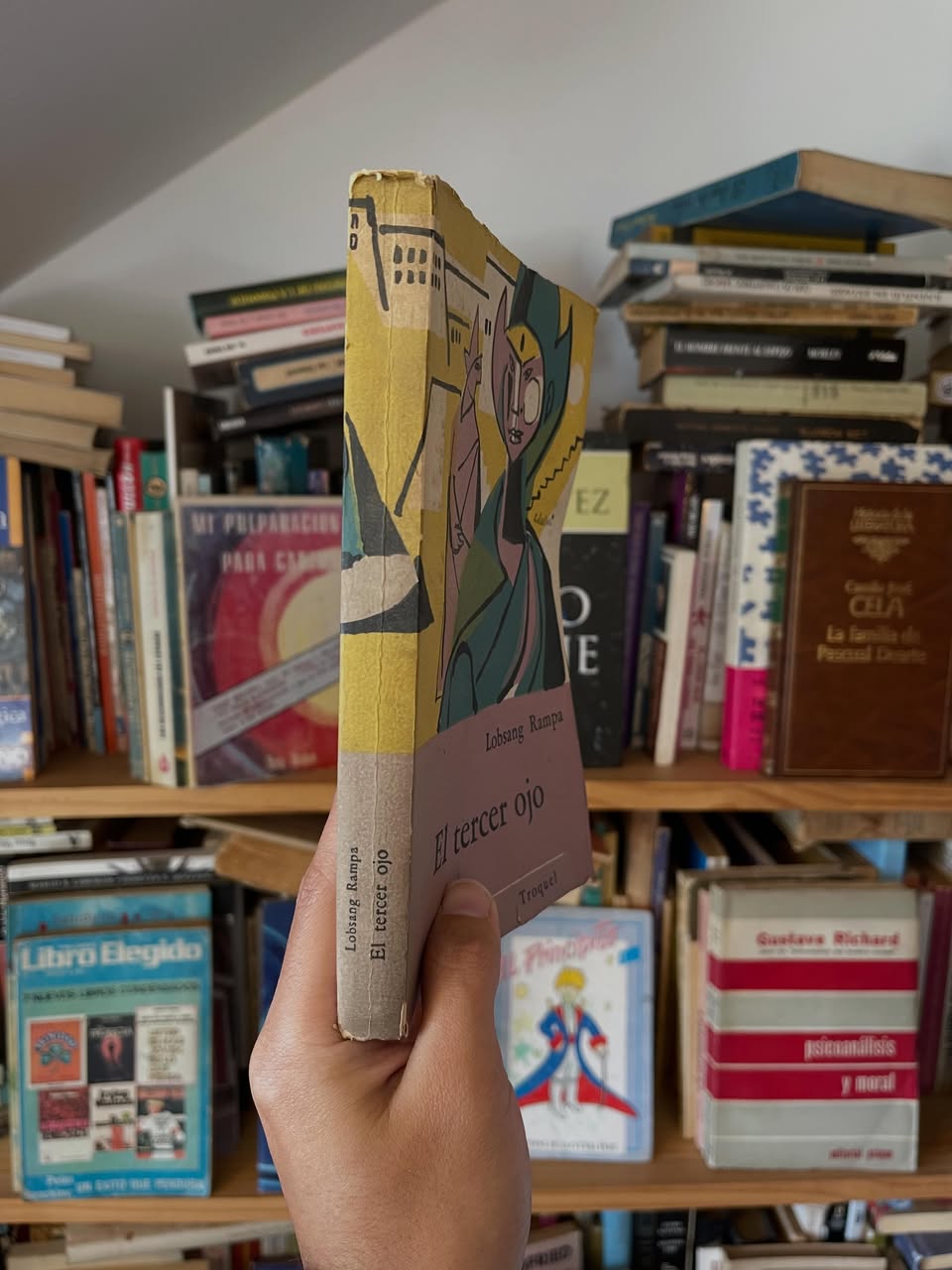 El tercer ojo - Libros Frannie