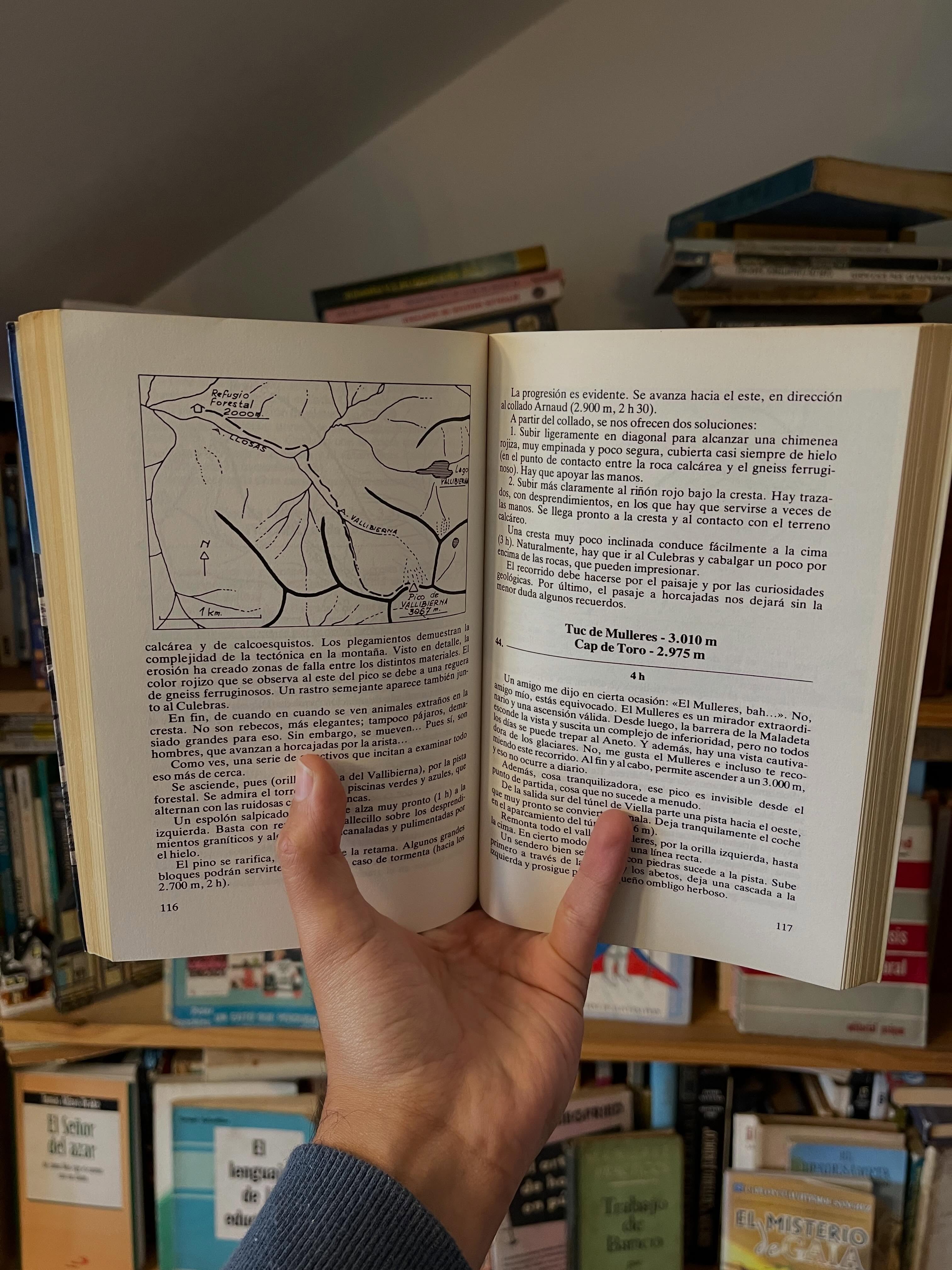 Cimas pirenaicas - Libros Frannie
