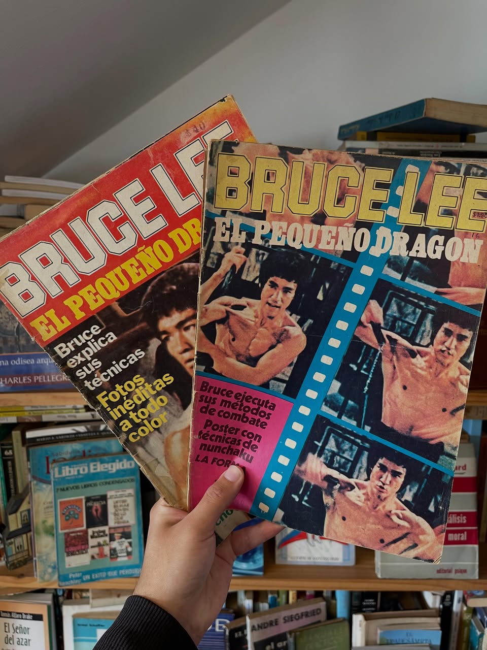 Revistas Bruce Lee - Libros Frannie