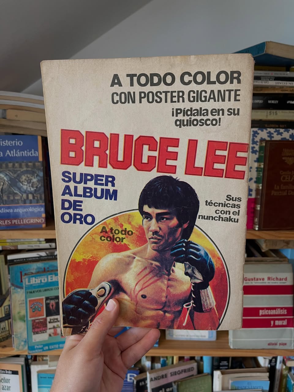 Revistas Bruce Lee - Libros Frannie