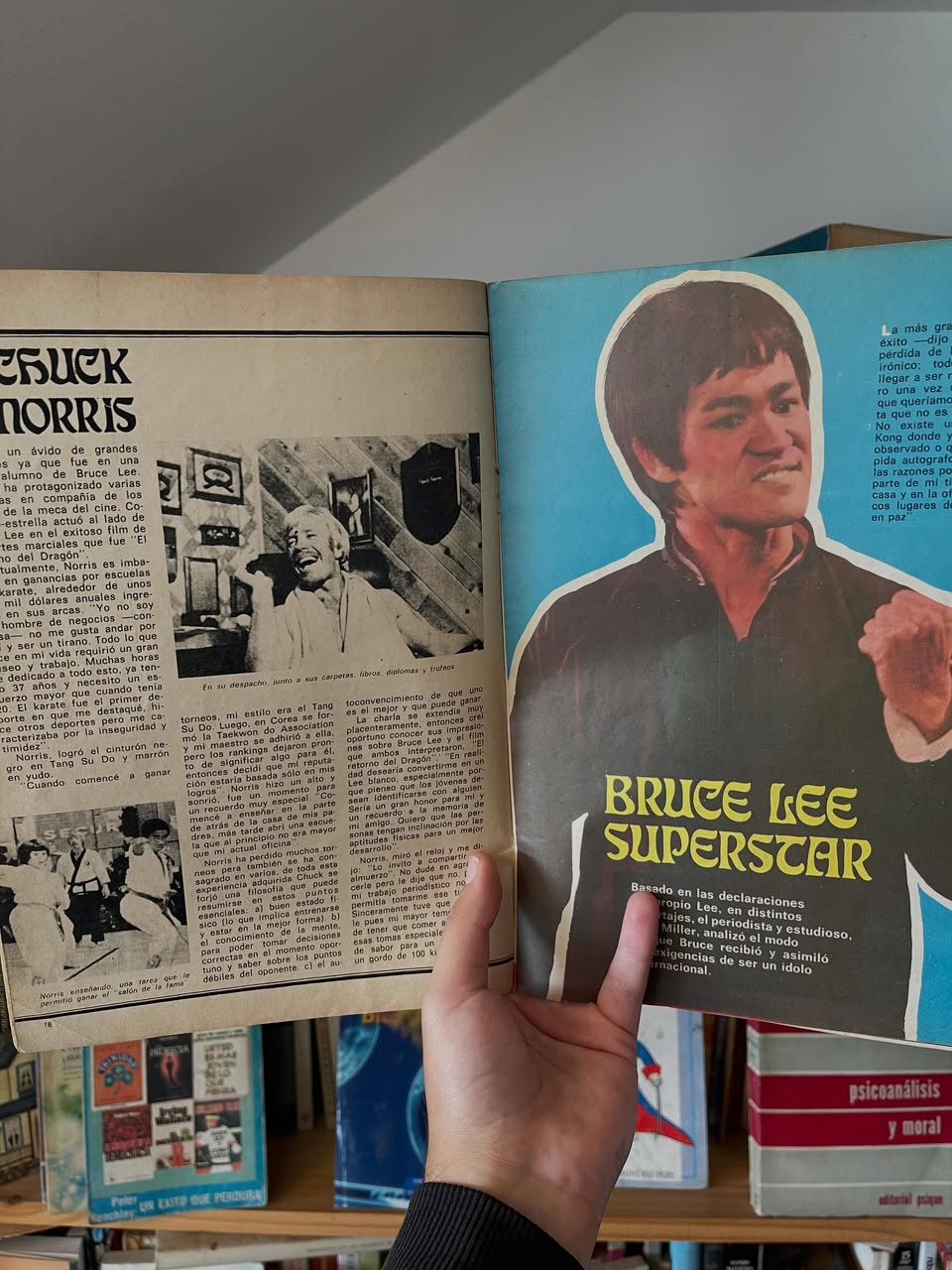 Revistas Bruce Lee - Libros Frannie