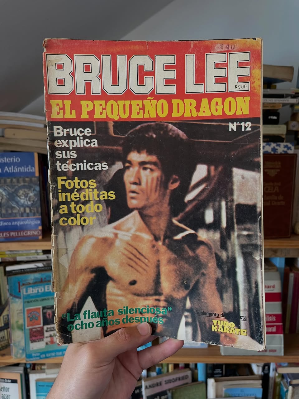Revistas Bruce Lee - Libros Frannie